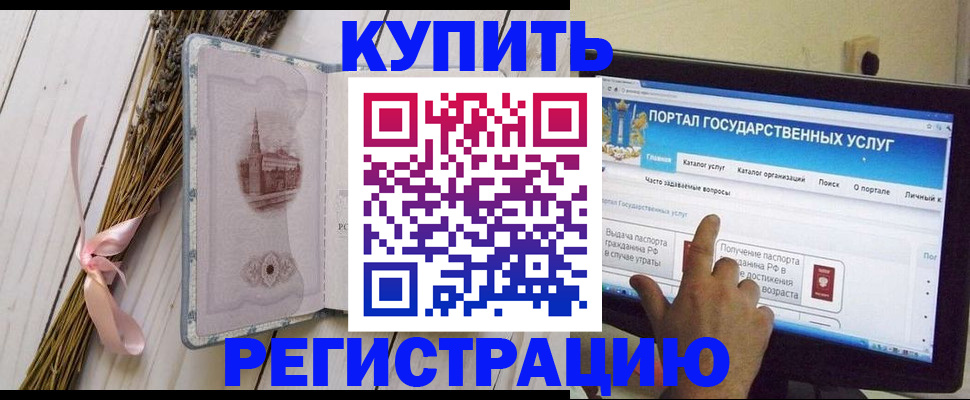 прописка поиск в Гатчине